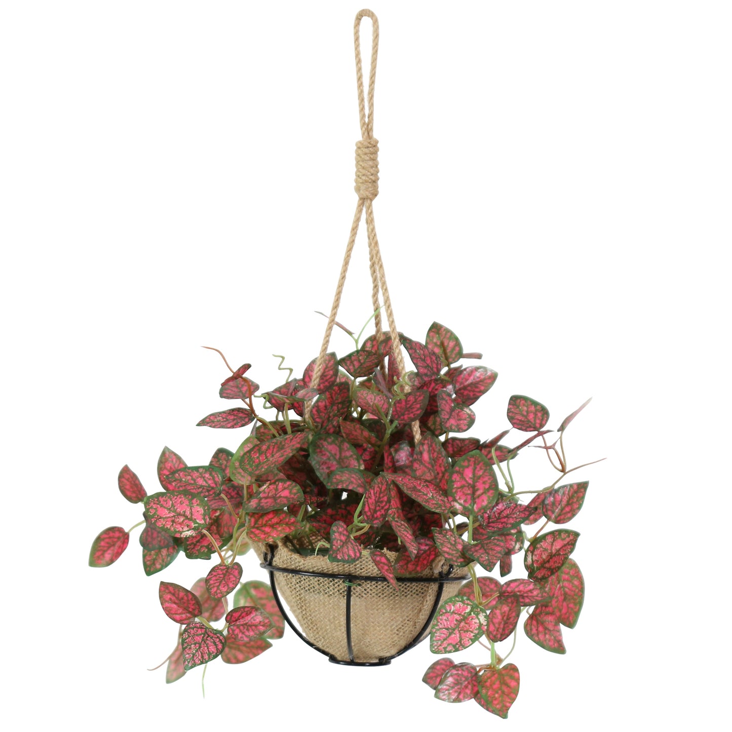 人工観葉植物 ヒポエステス43cm