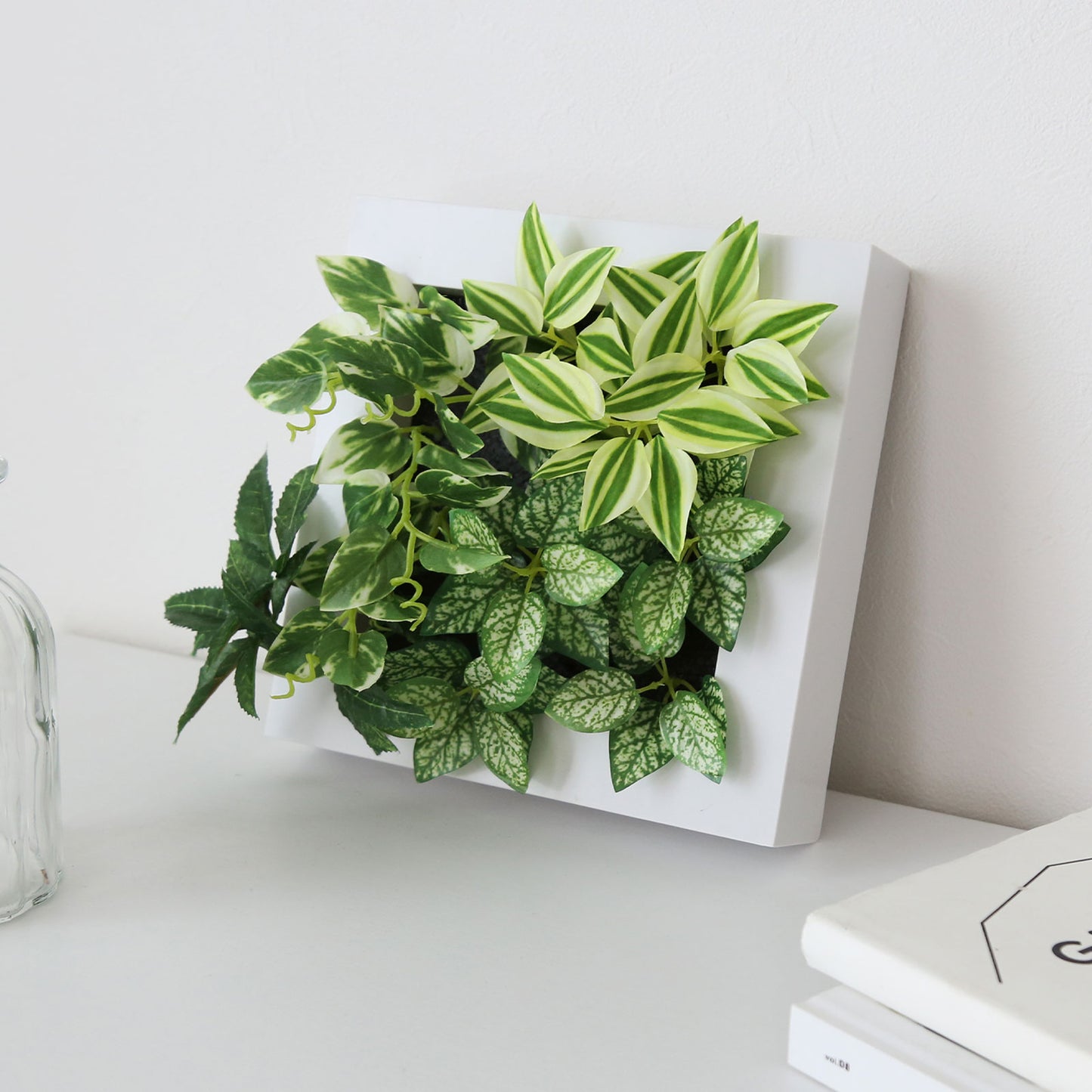 観葉植物【正方形】マイロ