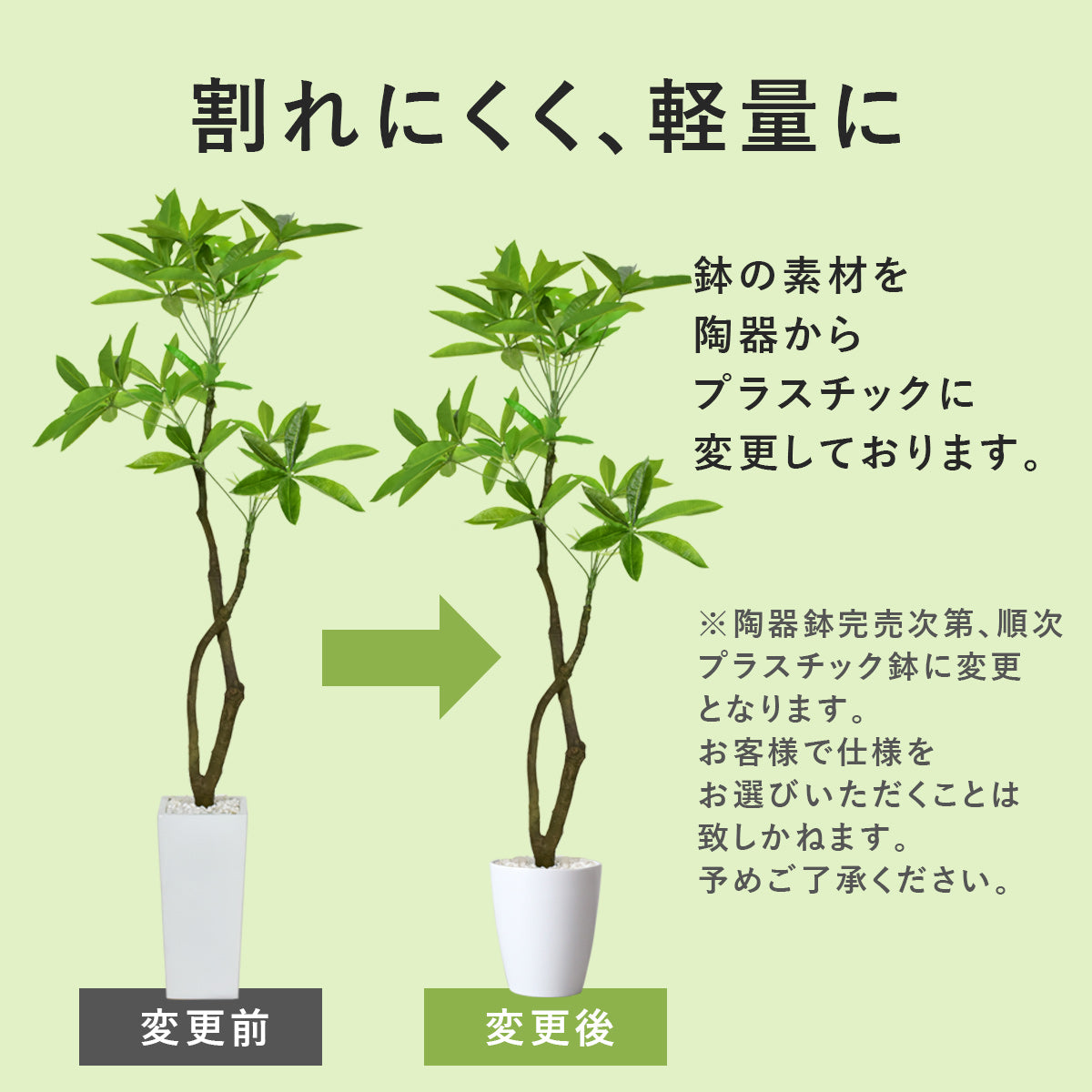 人工観葉植物 フィカス・ウンベラータ