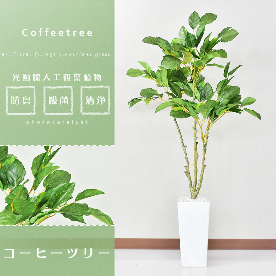 人工観葉植物 コーヒーツリー