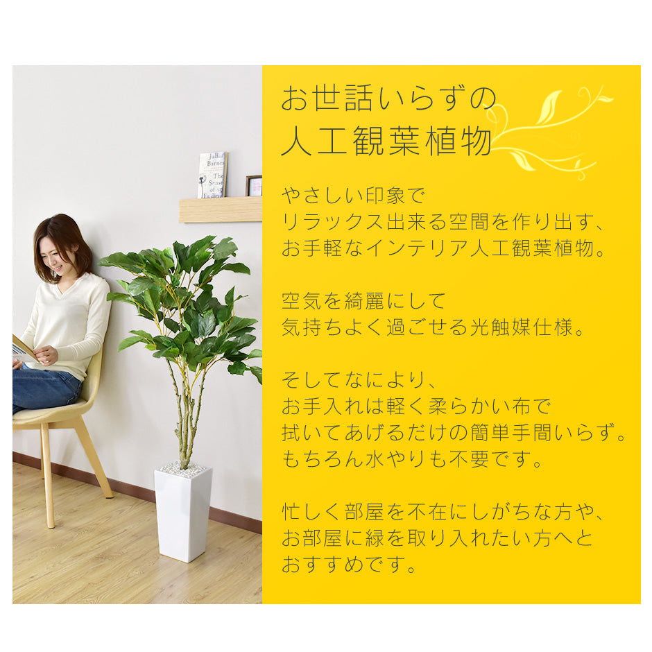 人工観葉植物 コーヒーツリー