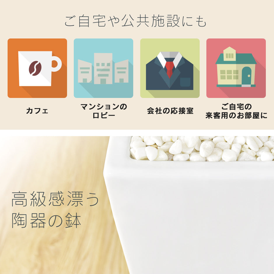 人工観葉植物 コーヒーツリー