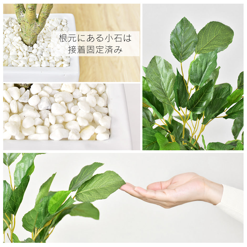人工観葉植物 コーヒーツリー
