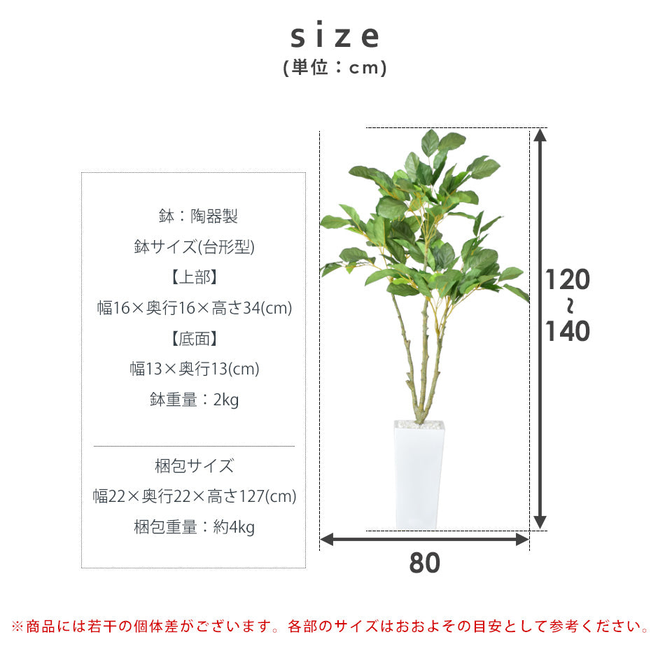人工観葉植物 コーヒーツリー