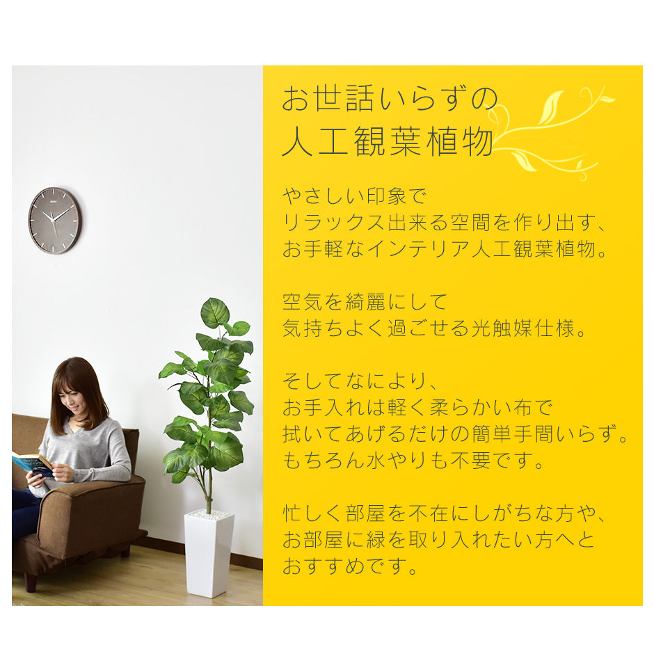 人工観葉植物 フィカス・ウンベラータ