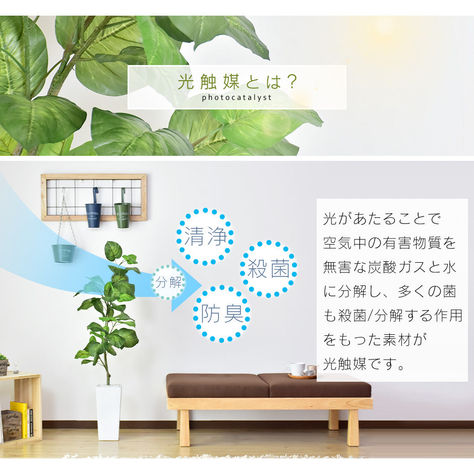 人工観葉植物 フィカス・ウンベラータ