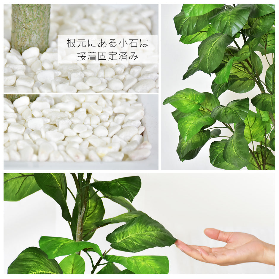 人工観葉植物 フィカス・ウンベラータ