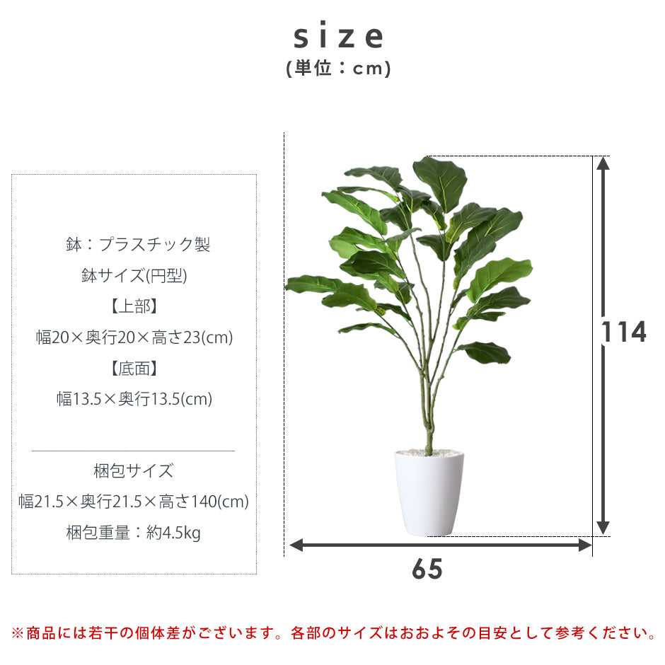 人工観葉植物 カシワバゴムノキ