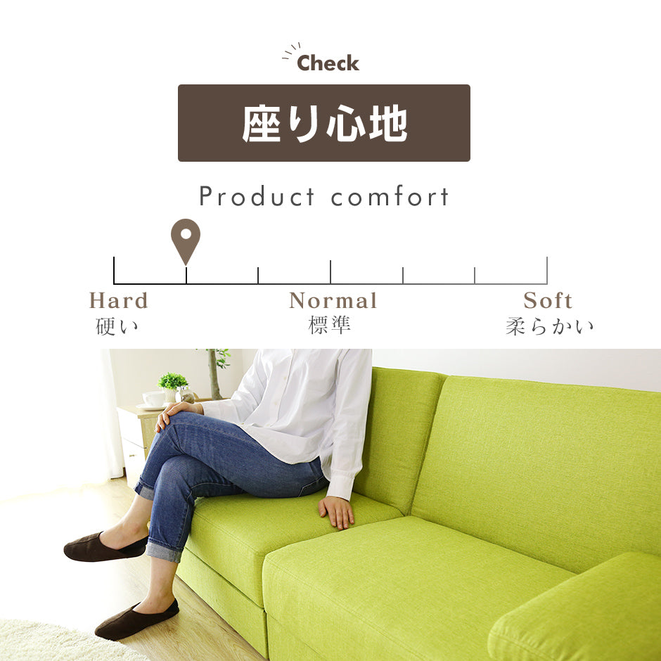 2人掛け 2人用ソファ ソファ ソファーベッド 収納付き リクライニング フィオーレ