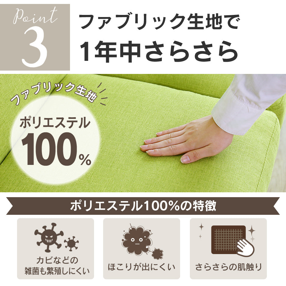 2人掛け 2人用ソファ ソファ ソファーベッド 収納付き リクライニング フィオーレ