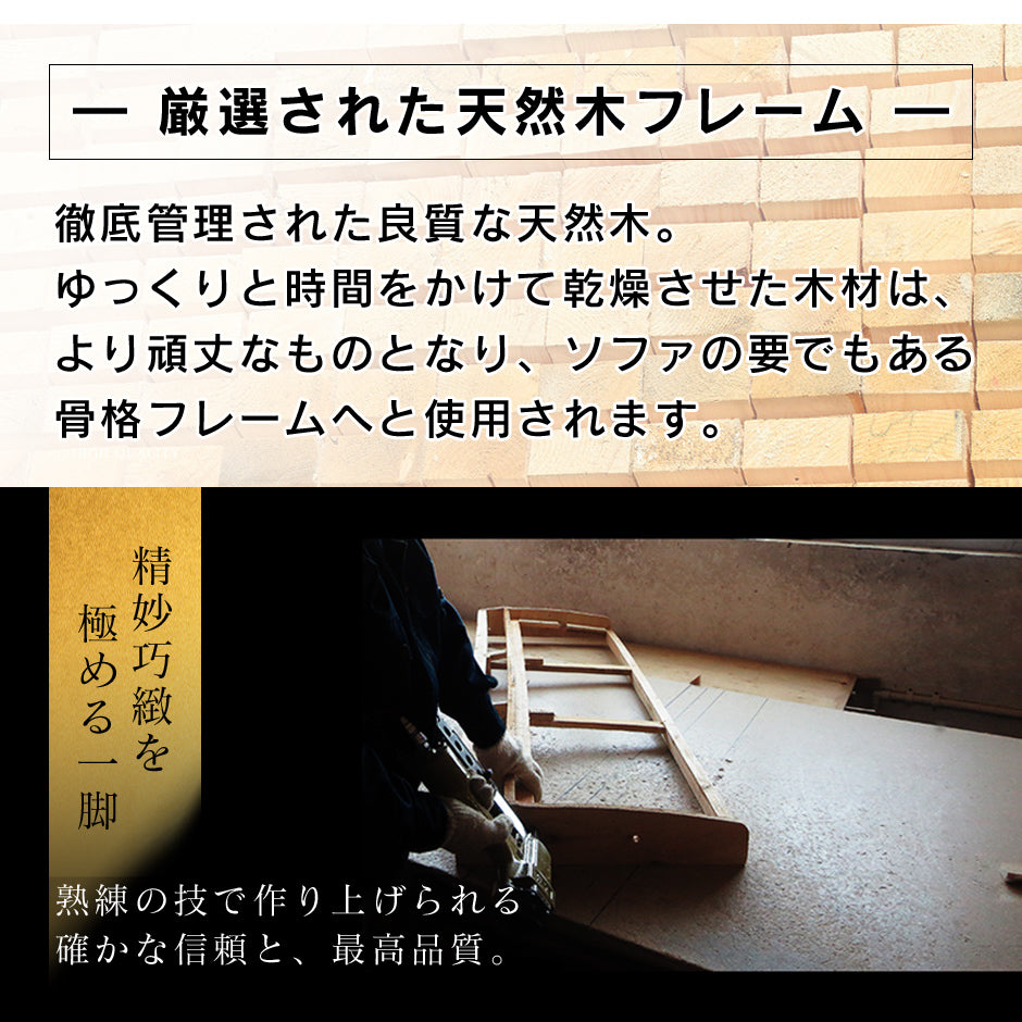 2人掛け 2人用ソファ ソファ ソファーベッド 収納付き リクライニング フィオーレ