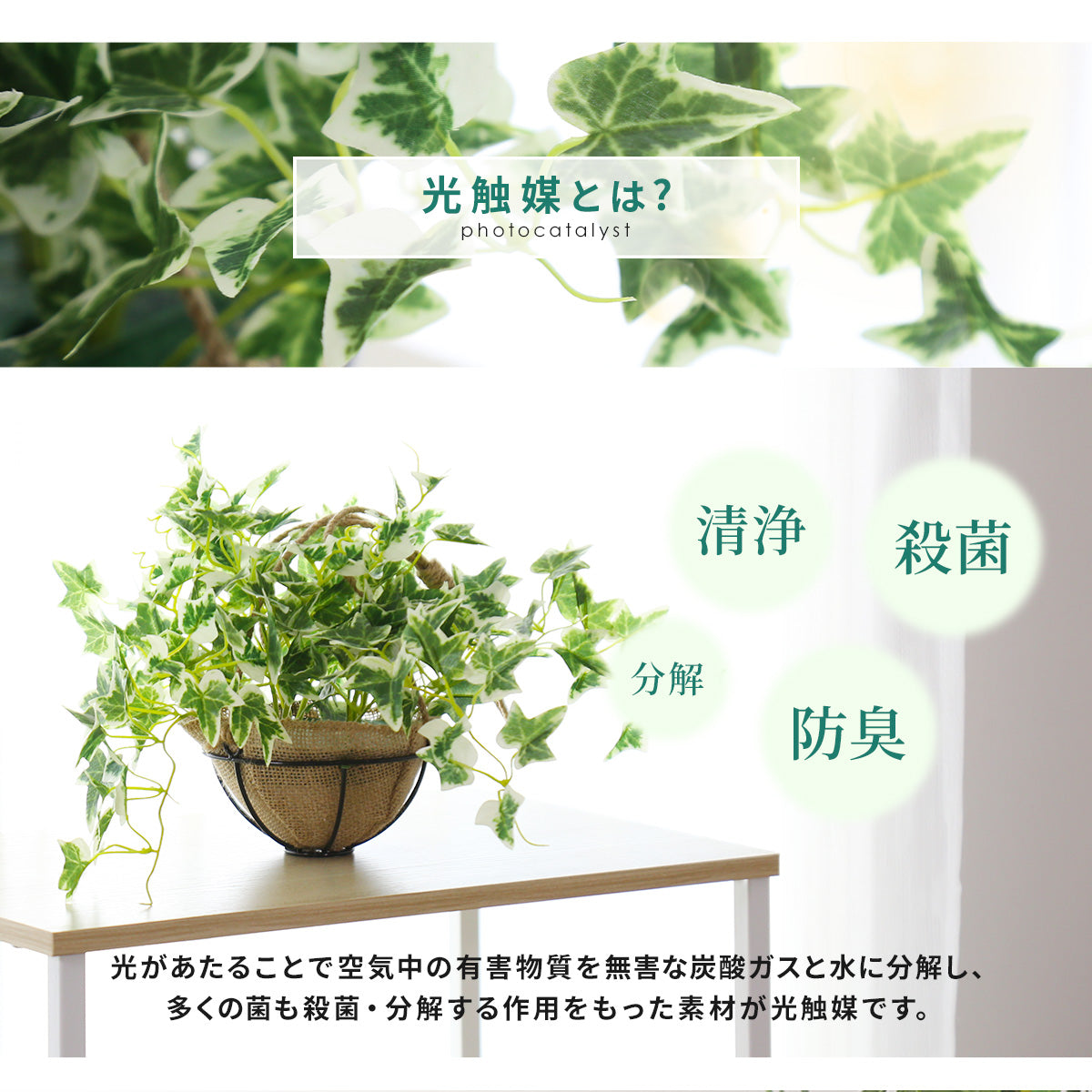 人工観葉植物 アイビー43cm
