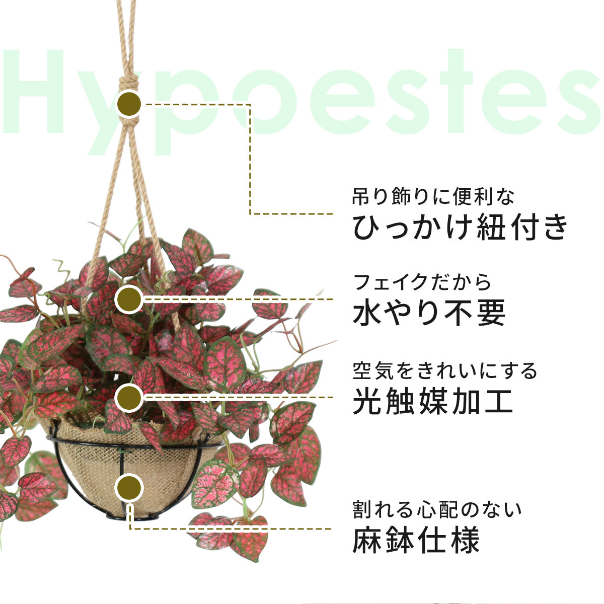 人工観葉植物 ヒポエステス43cm