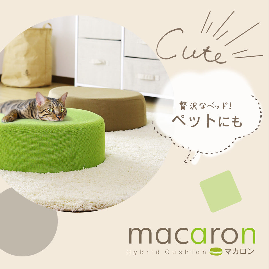 低反発 高反発 クッション マカロン(ラウンドタイプ)