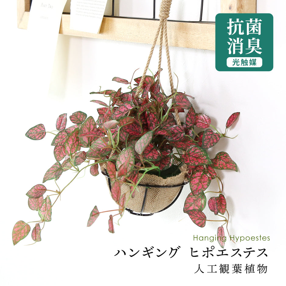 人工観葉植物 ヒポエステス43cm