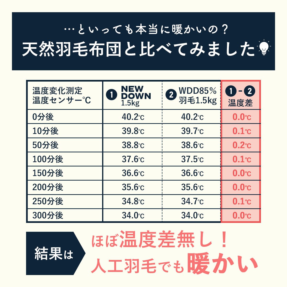 羽毛掛布団 ニューダウン人工羽毛掛布団ダブル