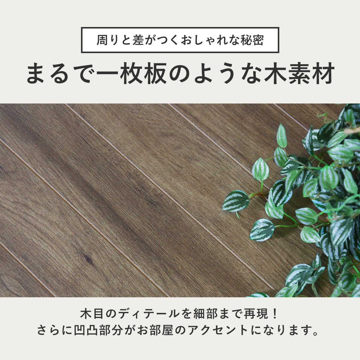 センターテーブル ノーヴァ【80×45cm/100×50cm】