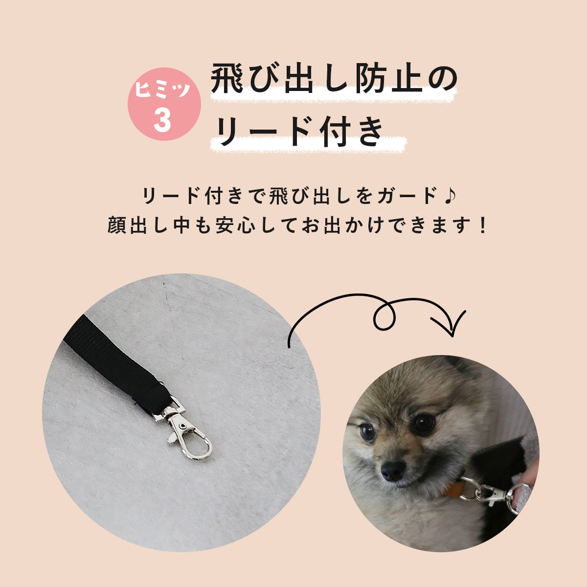 ペットキャリーバッグ ペペキャリー