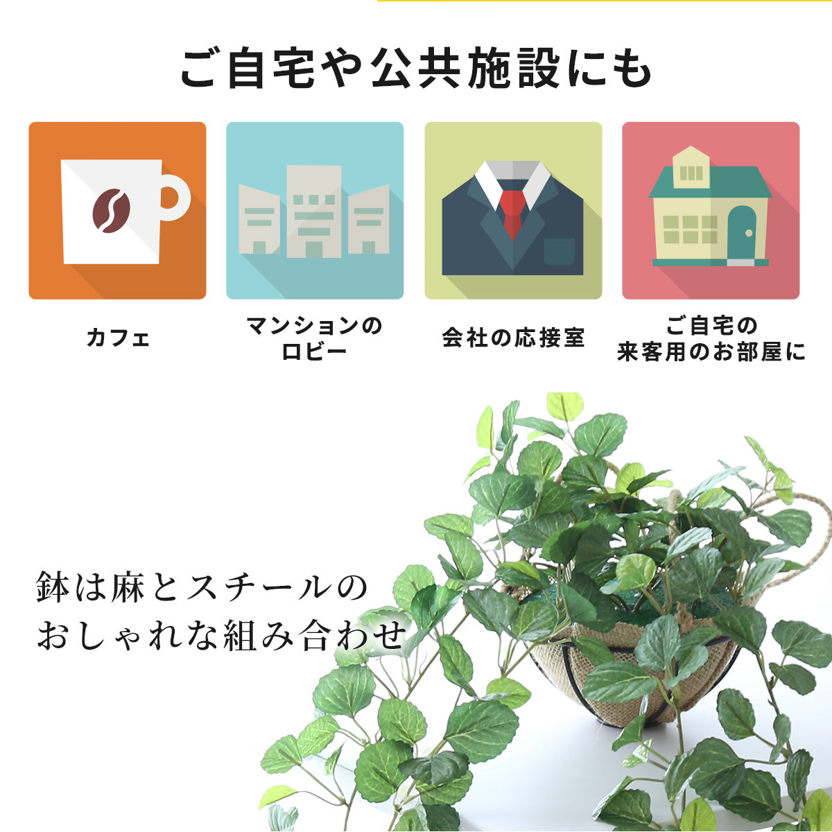 観葉植物 ハンギング ペペロミア70㎝