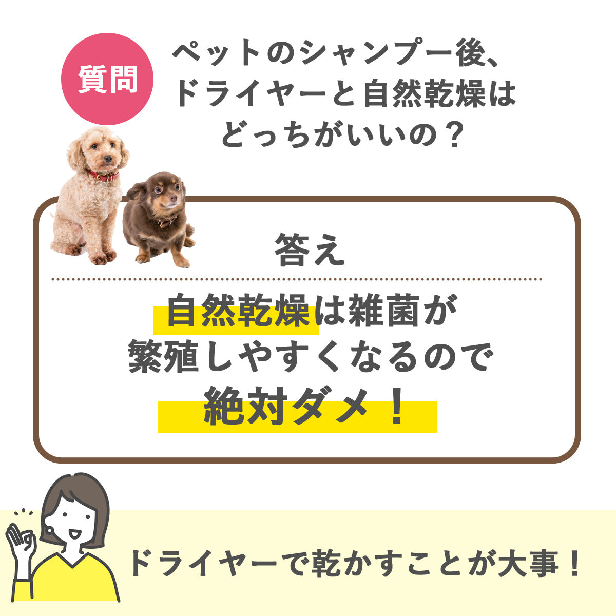 スタンド式ペット用ドライヤー (マイナスイオン/高さ・角度調整可能)