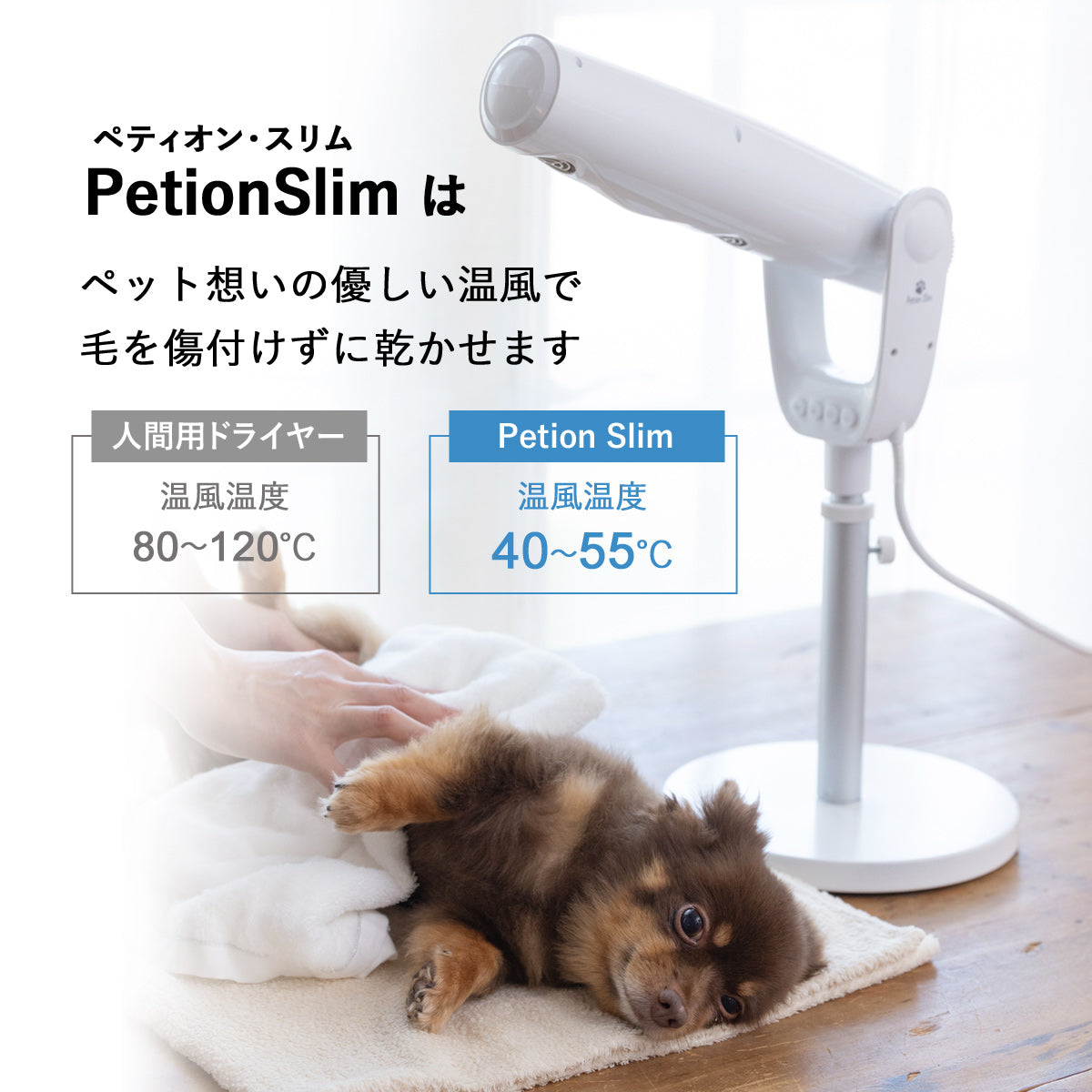 スタンド式ペット用ドライヤー (マイナスイオン/高さ・角度調整可能)