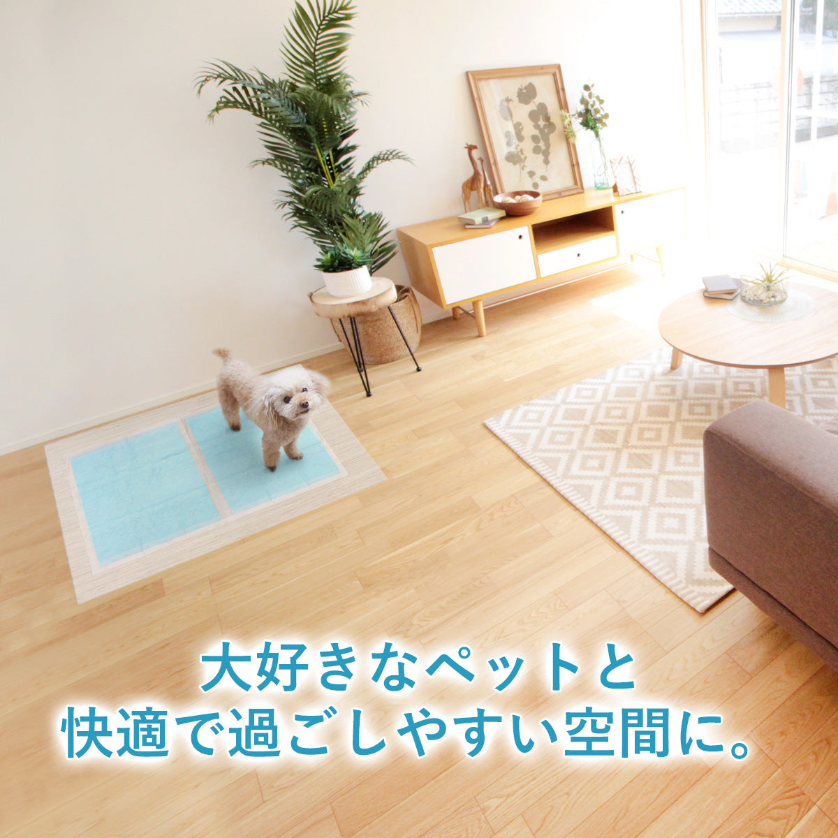 ペットシーツ用防水ズレ防止シート40×55cm