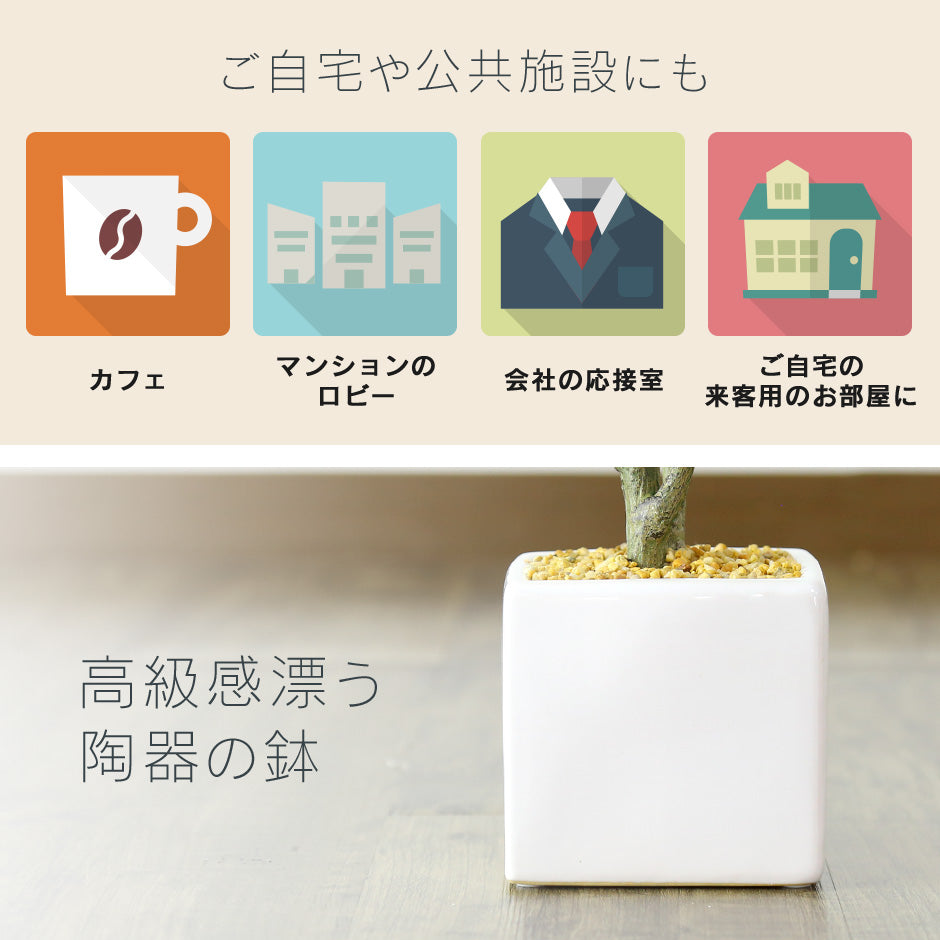 人工観葉植物 プルメリア