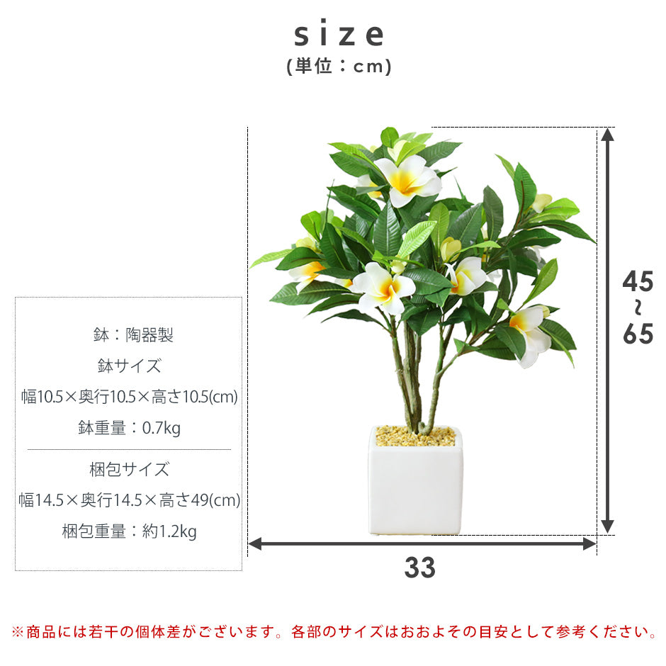 人工観葉植物 プルメリア