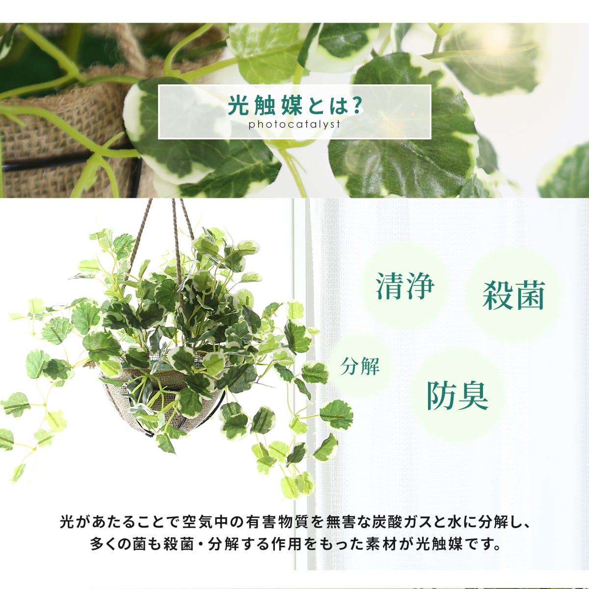 人工観葉植物 ポリシャス43cm