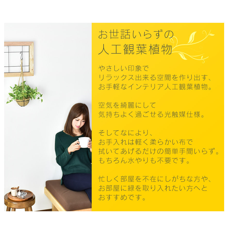 人工観葉植物 ハングキング