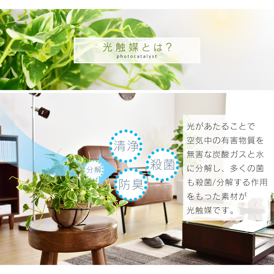 人工観葉植物 ハングキング