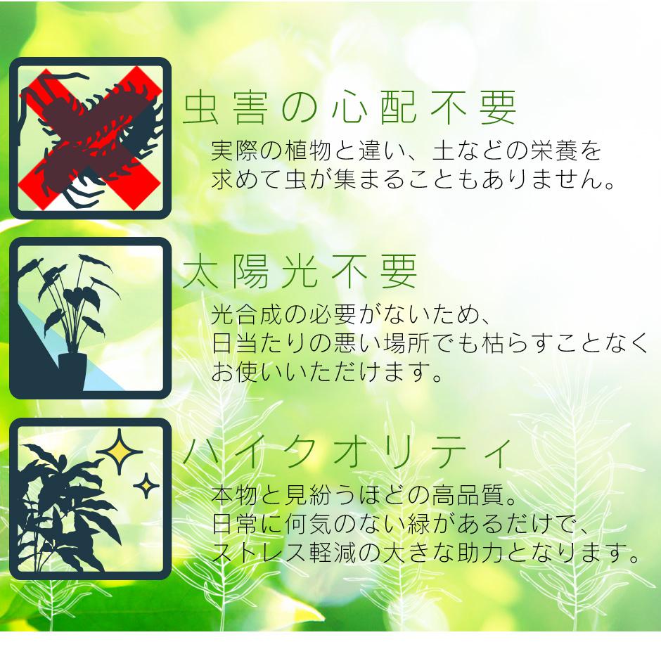 人工観葉植物 ハングキング