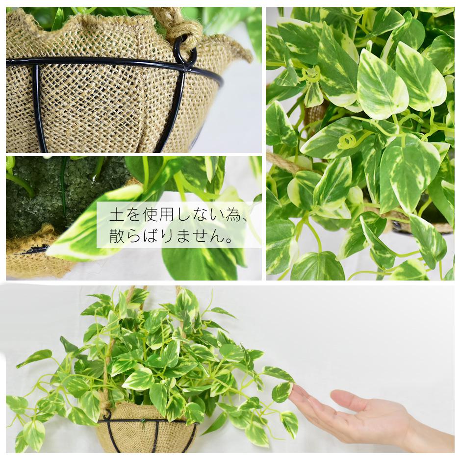 人工観葉植物 ハングキング