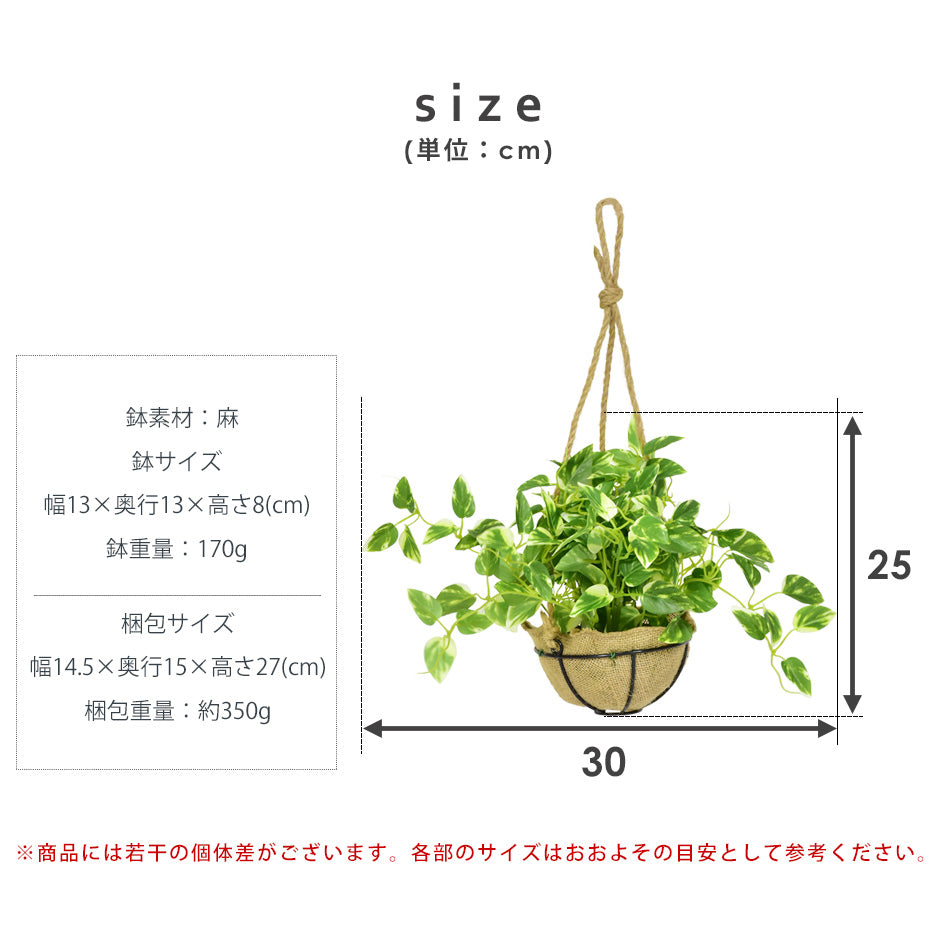 人工観葉植物 ハングキング
