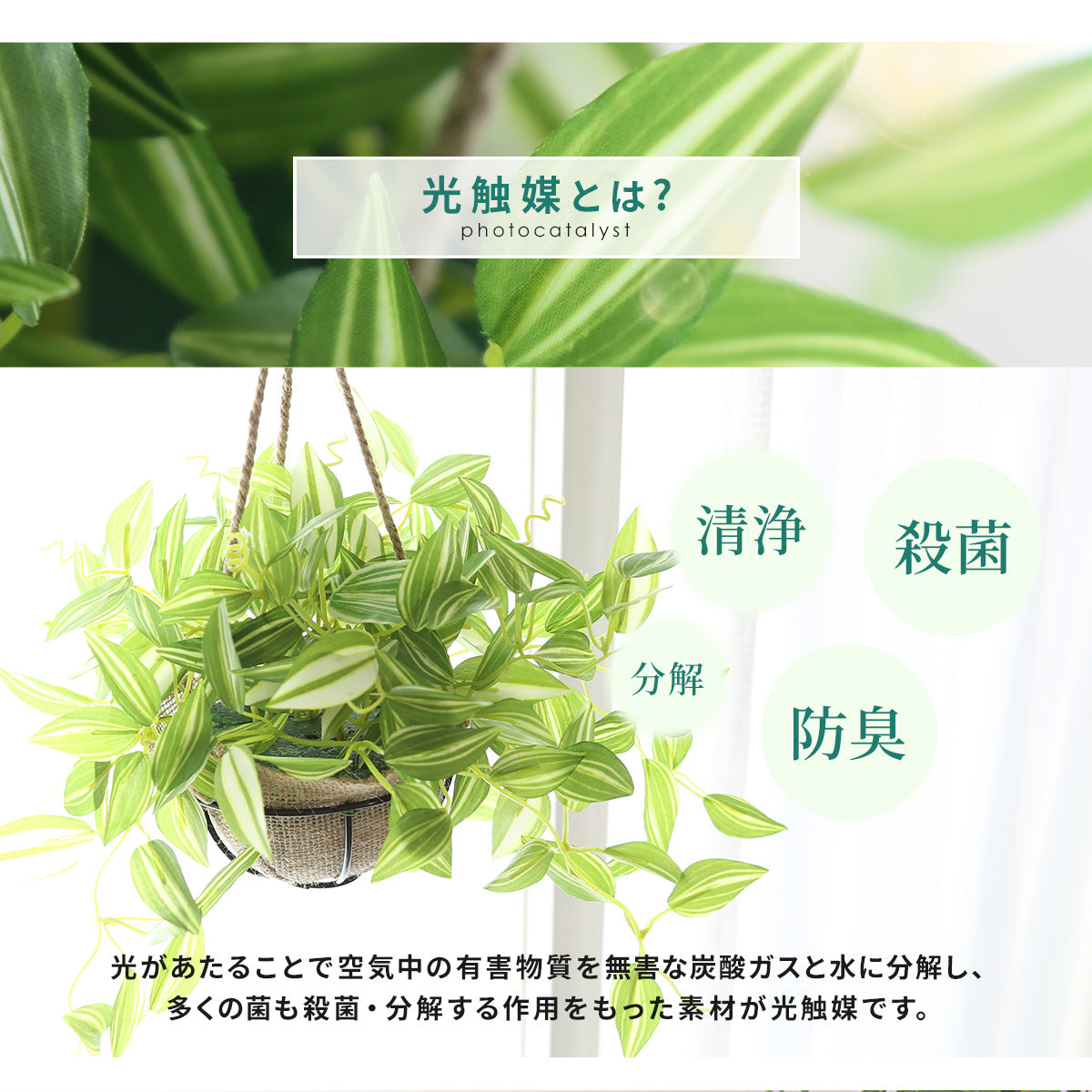 人工観葉植物 ゼブリナ・ペンデュラ43cm