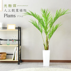 人工観葉植物 プラム