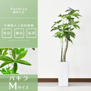 人工観葉植物 パキラ