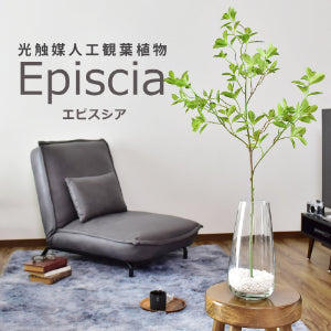 人工観葉植物 エピスシア