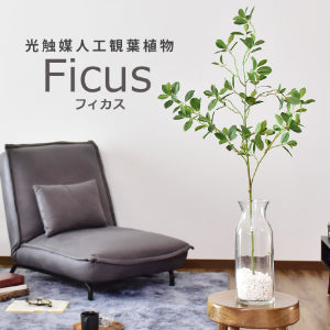 人工観葉植物 フィカス