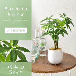 人工観葉植物 パキラS