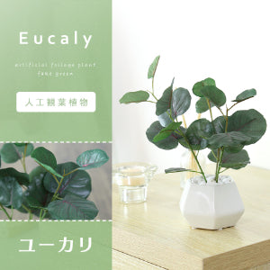 人工観葉植物 ユーカリ