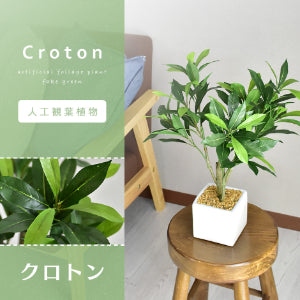 人工観葉植物 クロトン