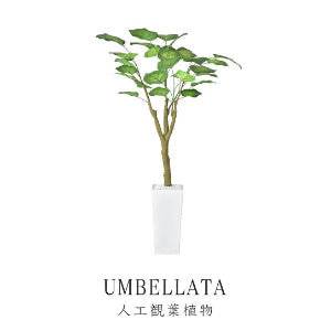 人工観葉植物 ウンベラータ