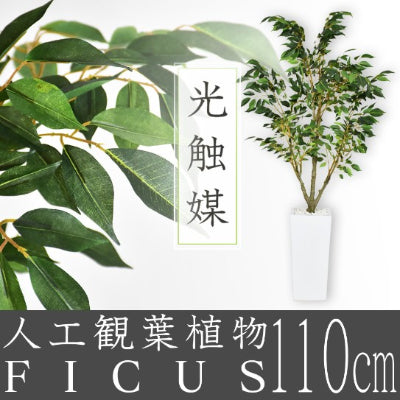 人工観葉植物 フィカス