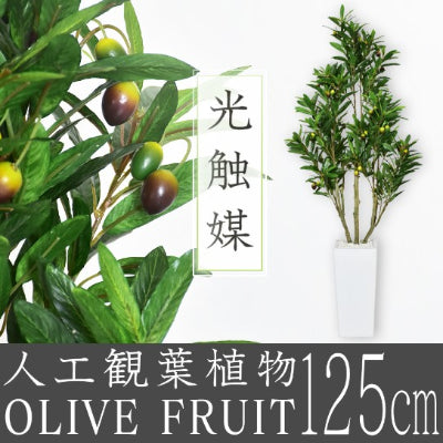 人工観葉植物 オリーブフルーツ