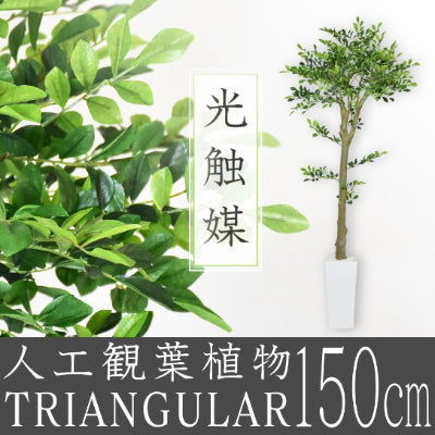 人工観葉植物 イボタノキ