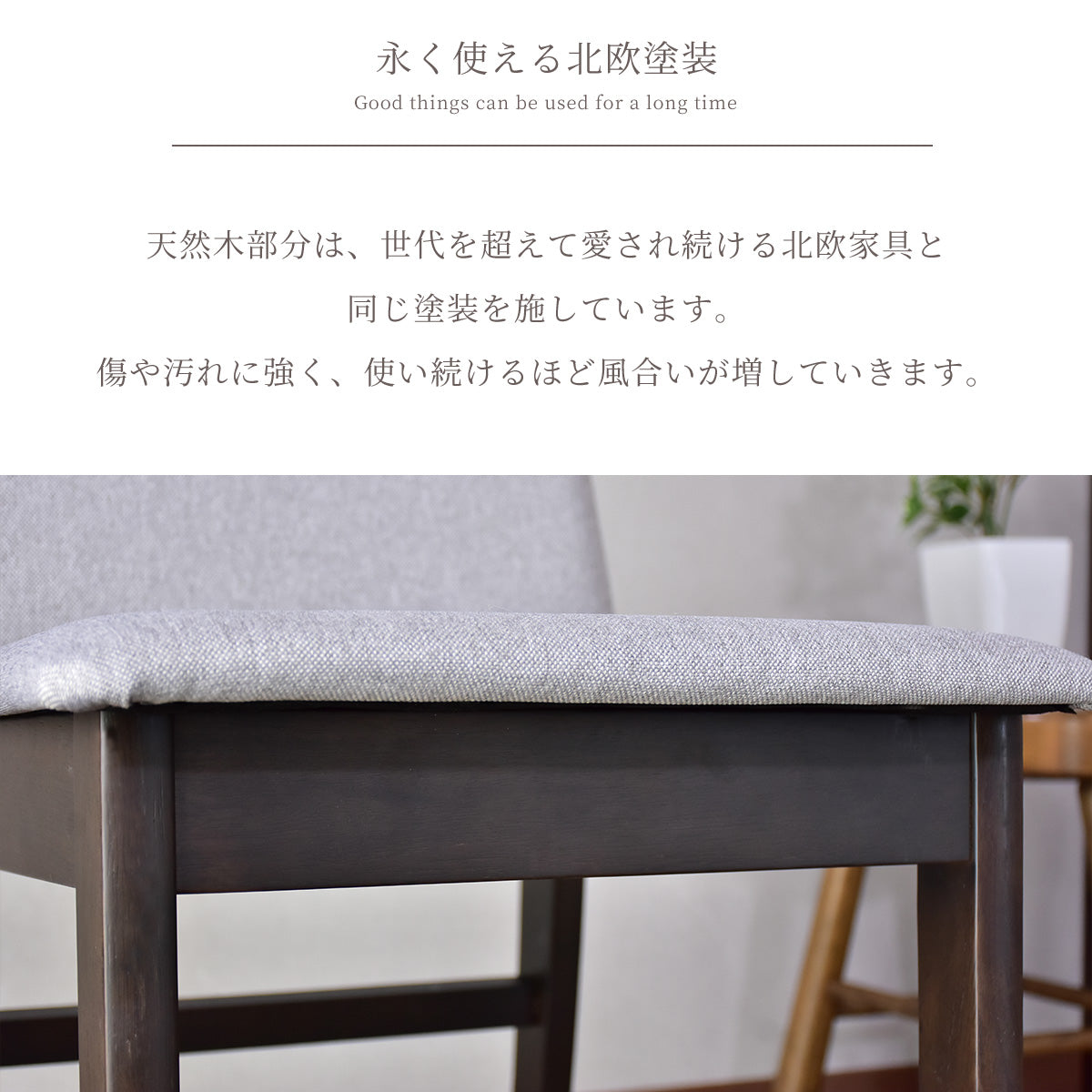 ダイニングチェア ビアンカ2脚セット 椅子