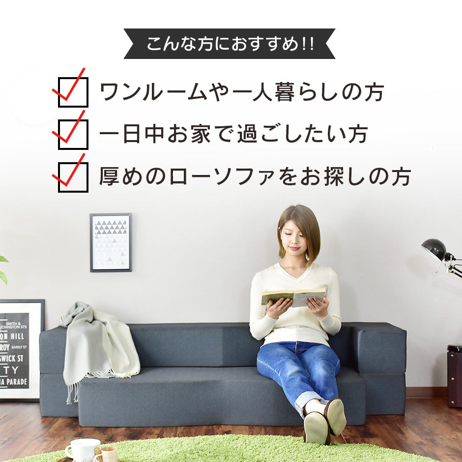 ソファベッド 2人用ソファ フラウム2P