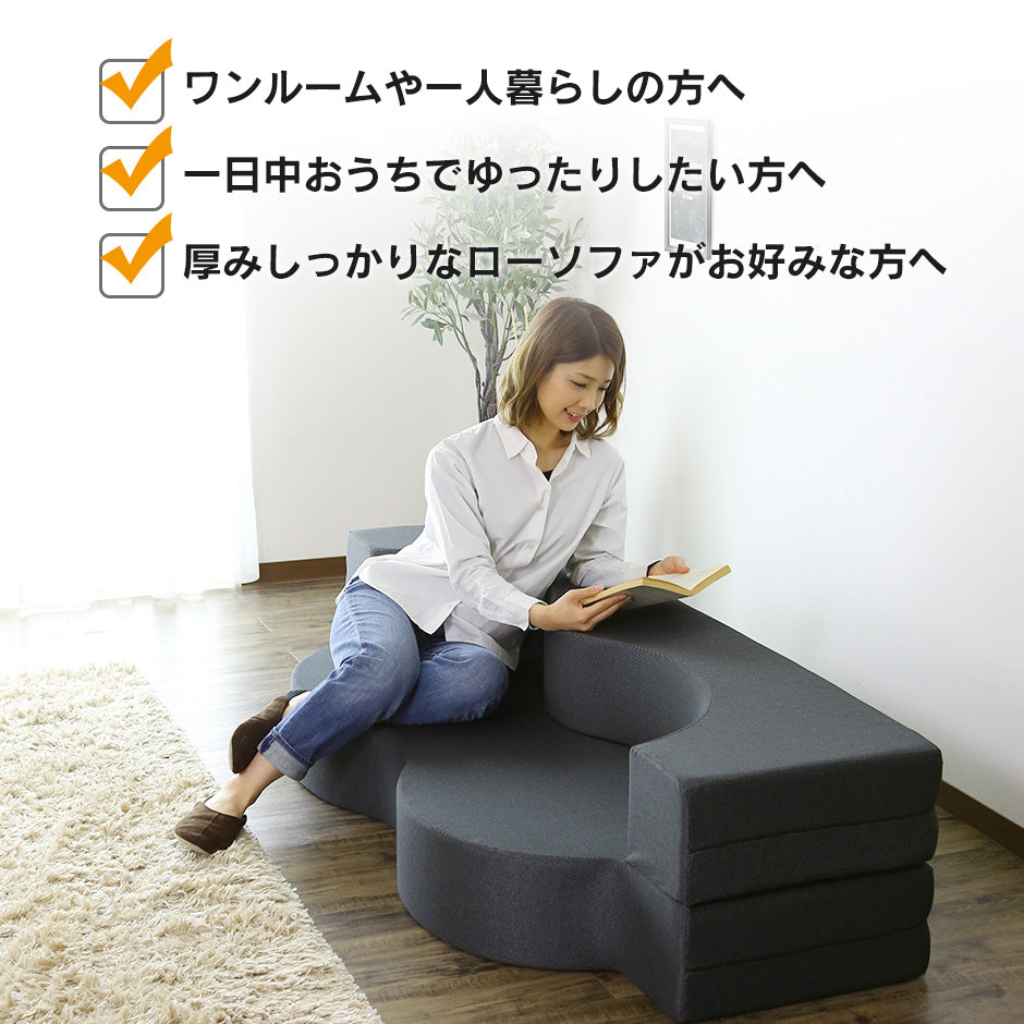 ウレタンソファー 2人掛け 2人用ソファ ソファ ローソファー ソファーベッド フロイデ 2P