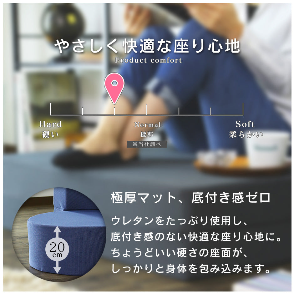 ウレタンソファー 2人掛け 2人用ソファ ソファ ローソファー ソファーベッド フロイデ 2P